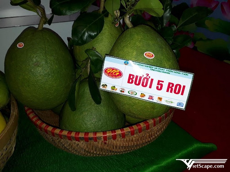 Bưởi năm roi Phú Hữu