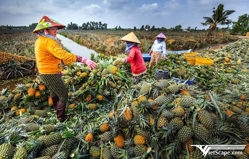 Khóm Cầu Đúc